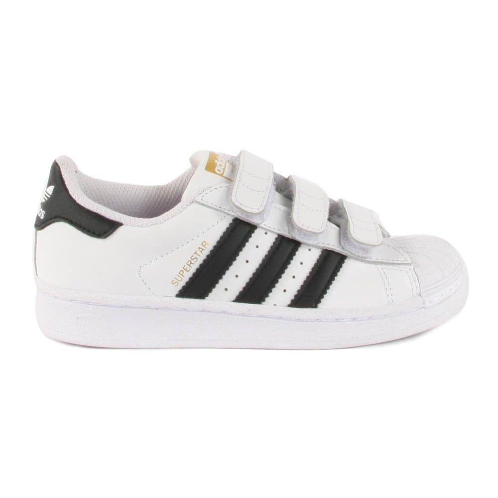 superstar scratch rose superstar scratch rose
